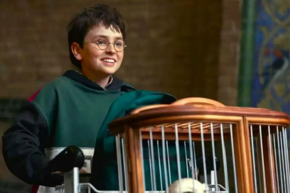 Harry Potter